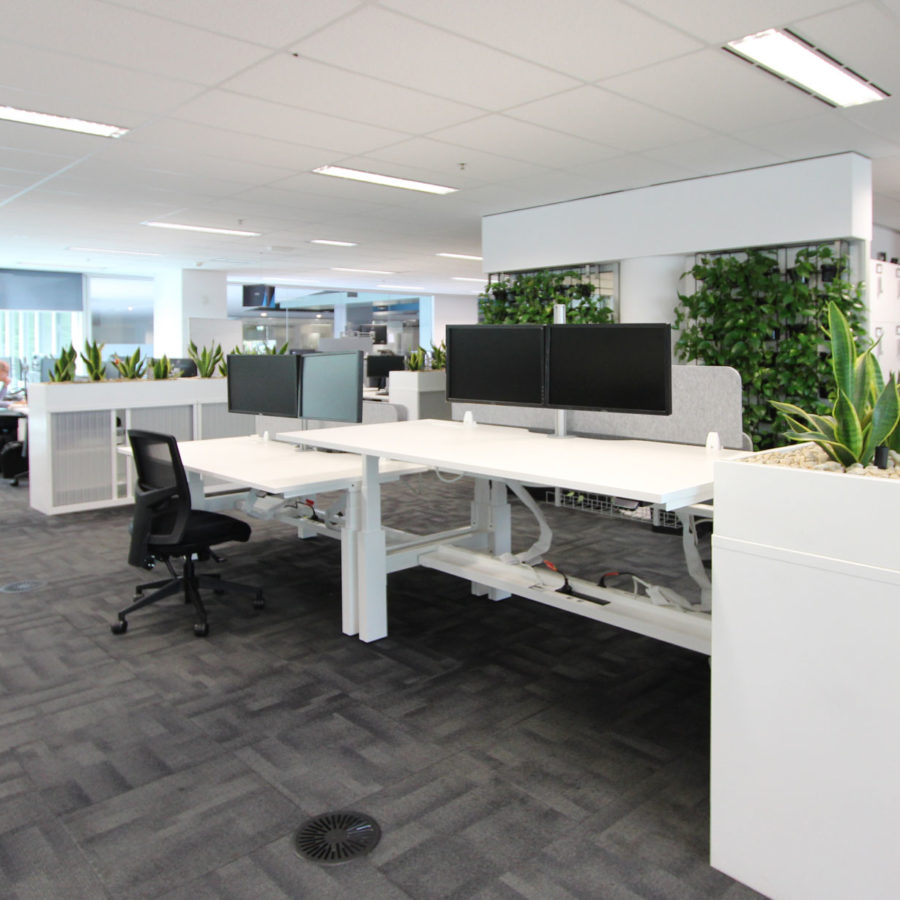 Shift - Sit to Stand - Image 8