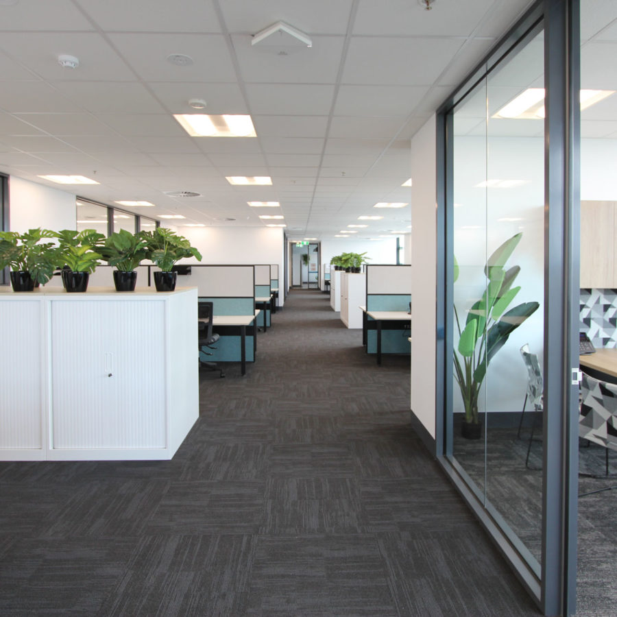 Tambour - Image 6