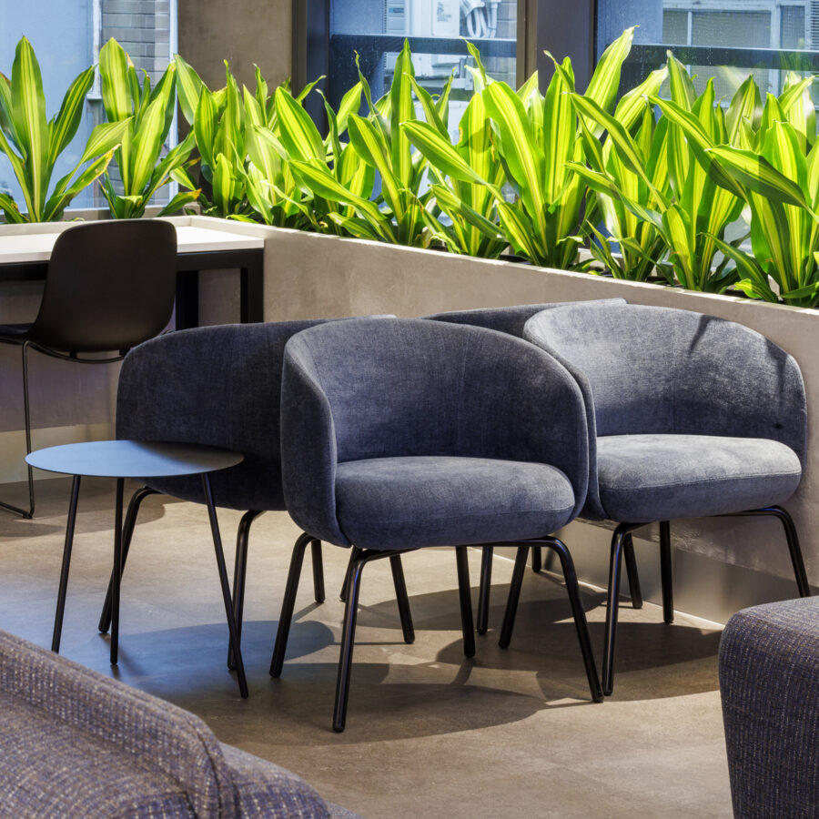 Nest Low Chair - Image 6