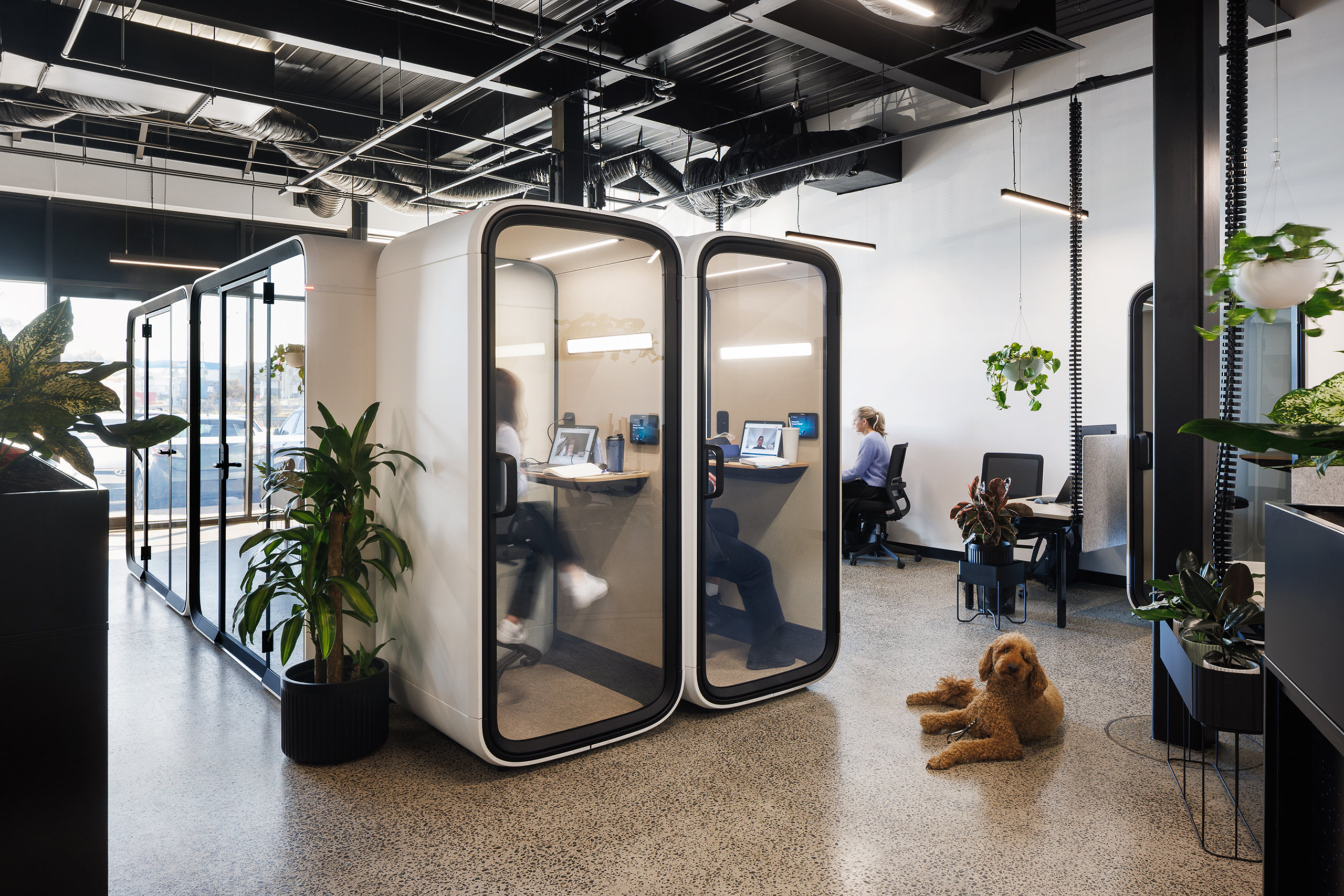 Framery One - Image 2